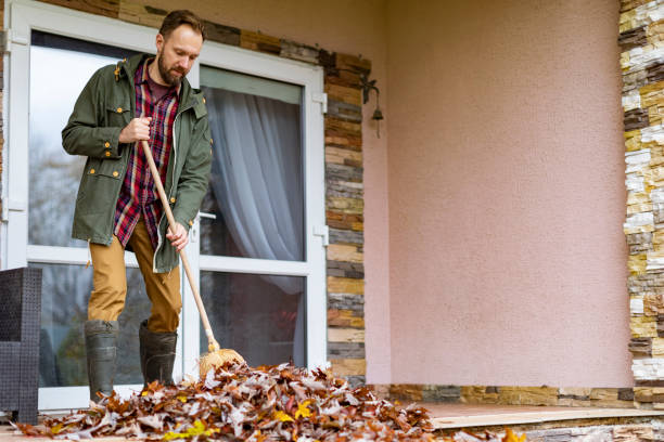 Best Yard Cleanup Services  in York, PA
